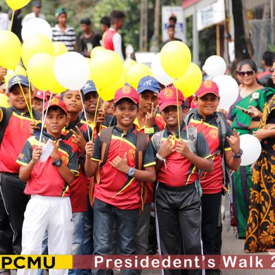 381233644 273236762330205 6476953534664992155 N